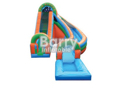 2017 Fashional Waterslides To Buy , Inflatable Water Slide For Backyard BY-WS-048